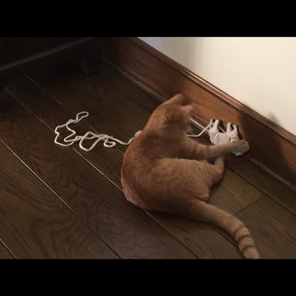 Meet your Posher, Rachel - Picture 1 of 1